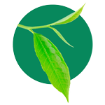 healthy-options-stores-food-and-drinks-shop